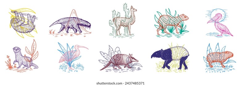 Set color birds and animals south america in hand drawn vintage style. Anteater, tapir, capybara, otter, pelican, armadillo, ibis, sloth, guanaco, agouti. Sketch vector illustration. 