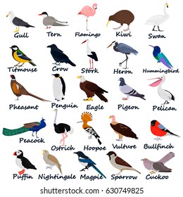 37,539 Bird names Images, Stock Photos & Vectors | Shutterstock