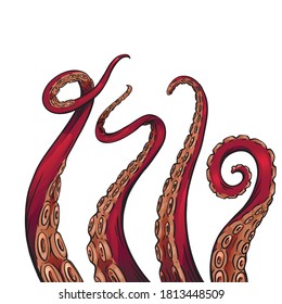 Set of color cartoon sketches of octopus tentacles. Creepy limbs of marine inhabitants. Vector object for logos, tattoos, cards and your design.