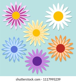 Set of color daisy chamomile. Cute flower plant collection. Stock vector illustration
