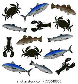 A set of color drawings on the theme of seafood. Salmon, tuna, cod, lobster, crab. Vector illustration