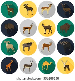 Set of color flat hoofed animals icons