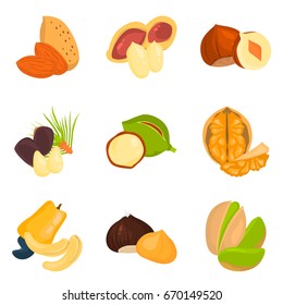 Set of color flat nuts icons set for web and mobile design