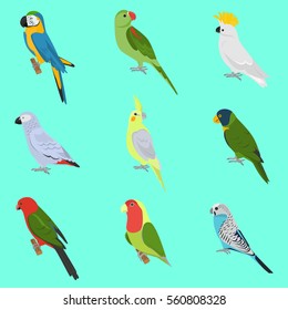 Set of color flat parrots icons with their names