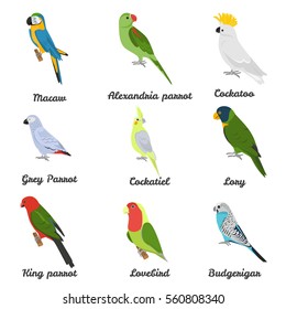 Set of color flat parrots icons with their names