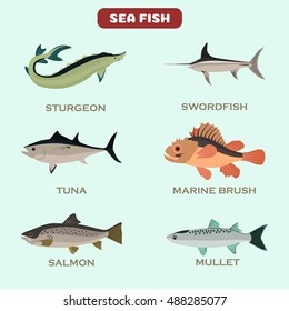 Conjunto de iconos de color de peces de mar plano. Diseño plano