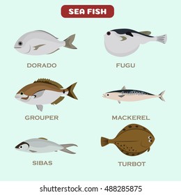 Set of color flat sea fish color icons. Flat design