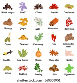 Set Color Flat Spice Icons Set Stock Vector (Royalty Free) 560808901 ...