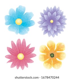 set of color flowers naturals vector illustration design