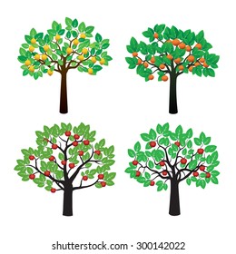 Set of Color Fruits Tree. Vector Illustration.