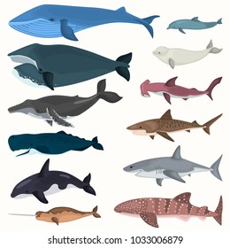 Set of color giant inhabitants of the sea depths icons