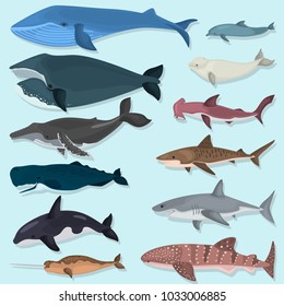 Set of color giant inhabitants of the sea depths icons