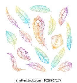 Set of color  hand drawn feathers. Isolated on white bacground.Vintage engraving illustration. Color gradient. Beautiful feathers in sketch style. 