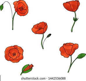 Set of color hand drawn poppies. Poppy flowers collection. Watercolor vector wildflowers.