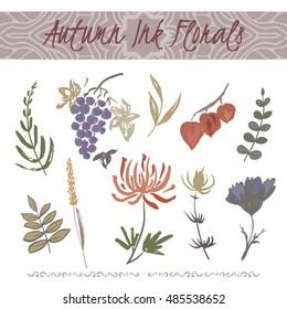 Set of color hand painted ink autumn leaves, flowers, herbs and berries with chrysanthemum and grape. Great for seasonal greeting cards. Artwork for your design.