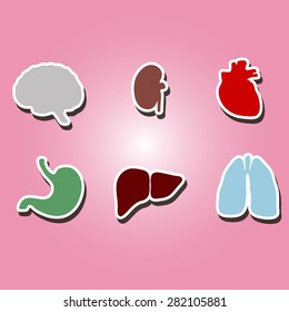 set of color icons with organs of the human body for your design