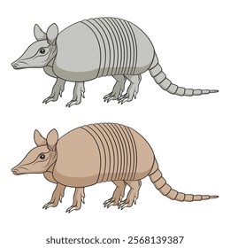 Set of color illustration with an armadillo. Isolated vector objects on white background.