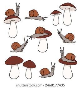 Set of color illustration with snail and mushroom. Isolated vector objects on white background.