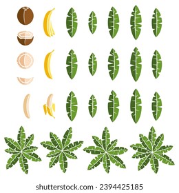 Set of color illustration with tropical palm, leaves, coconut and banana. Isolated vector object on white background.
