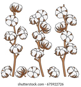 Set of color illustrations with cotton branches. Isolated vector objects on white background.