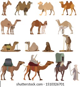 a set of color illustrations for the International Caravan Day - camels, caravan