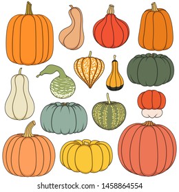 Set of color illustrations with pumpkins of different shapes and varieties. Isolated objects on white background.