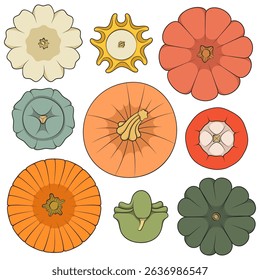 Set of color illustrations with pumpkins of different shapes and varieties. Isolated objects on white background.