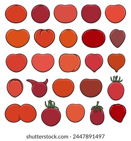 Set von Farbabbildungen mit roten Tomaten. Isolierte Vektorobjekte auf weißem Hintergrund.