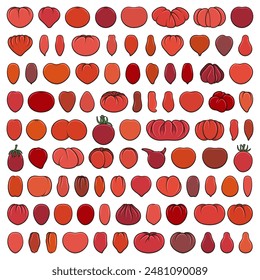 Set of color illustrations with red tomatoes. Isolated vector objects on white background.