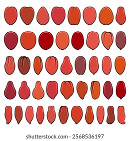 Set of color illustrations with red tomatoes. Isolated vector objects on white background.