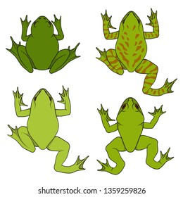 Set of color illustrations with water, river frogs. Isolated vector objects on white background.