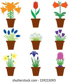 Set of color images of bulbs flower in pots