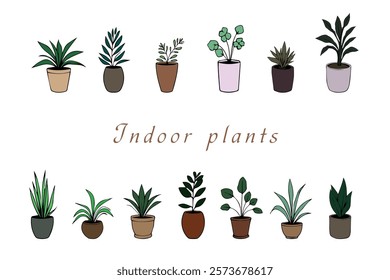 set of color images of indoor plants in doodle style