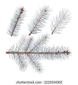 A set of color images of pine tree branches to create background designs, festive wrappers, textiles