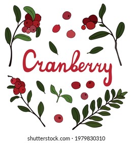 Set of color images of ripe red cranberries with leaves, hand signed. Vector illustration. Isolated objects on a white background. Summer season