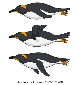 Set of color images of a swimming penguin. Isolated vector objects on white background.