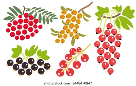 Farbensatz isolierte Beeren in flacher Form in der Vektorgrafik. Bild von natürlichem gesundem Öko-Essen. Vorlage für Logo-Aufkleber Poster-Print-Dekor-Design