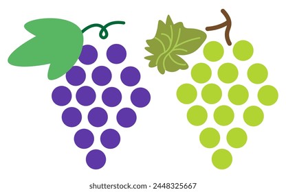 set of color isolated grape in flat shape style in vector. image of natural healthy eco food.template for logo sticker poster print decor design