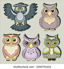 Set of color owls