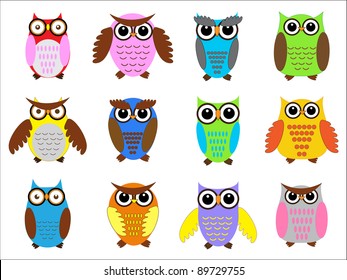 Set color owls. Vector illustration