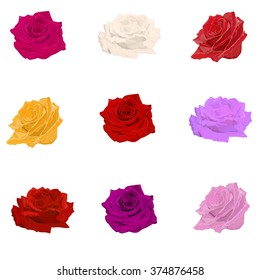 Set with color roses on white background