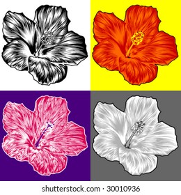 Set of color styles with hibiscus flower