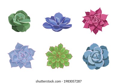 Conjunto de suculentos de color de Echeveria. Flores del desierto al estilo de las caricaturas para impresión y diseño. Recogida floral de plantas interiores. Ilustración vectorial, elementos coloreados aislados sobre un fondo blanco