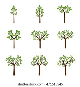 Set color Trees and Leafs. Vector Illustration.