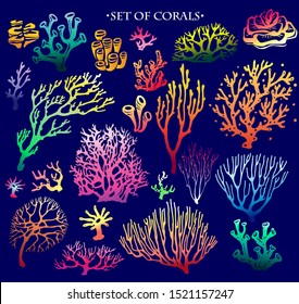 Set of color underwater coral reef elements. Tropical coral elements collection 