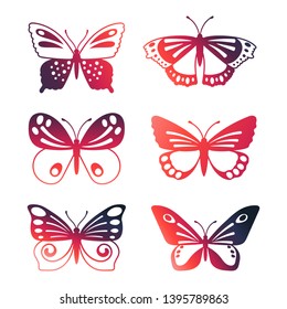 Set of color vector butterflies isolated on white background. Butterfly summer, spring insect illustration