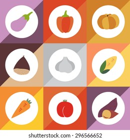 Set of color vector icons corn, pimento, garlic, carrot, chestnut, sweet potato(yam), peach, pumpkin, eggplant in the colorful background.