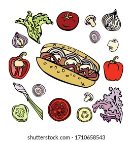 Set of color vector illustrations. Hot dog, bell pepper, lettuce, tomatoes, mushrooms, onions, cucumber. Isolated on a white background.