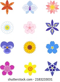 Set of color vector images of garden plants flowers. The diversity of the English garden.