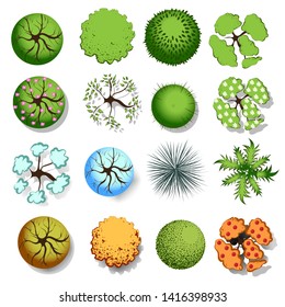 Set of color vector trees, top view